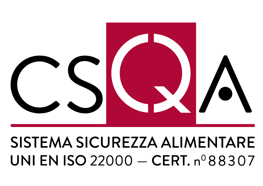 LOGO CSQA